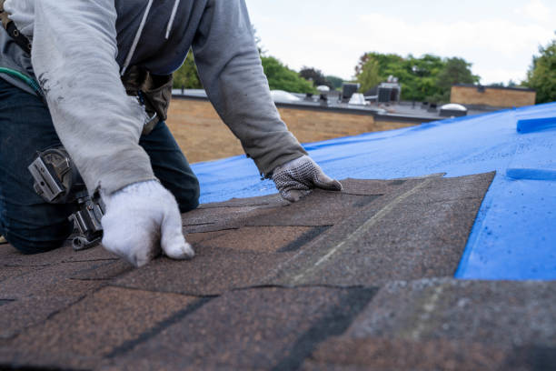 Best Rubber Roofing (EPDM, TPO)  in South Hill, VA