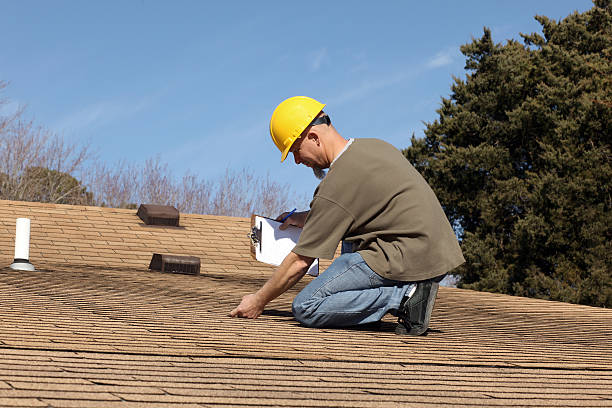 Best Roof Maintenance and Cleaning  in South Hill, VA