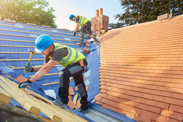 Best Metal Roofing Installation  in South Hill, VA